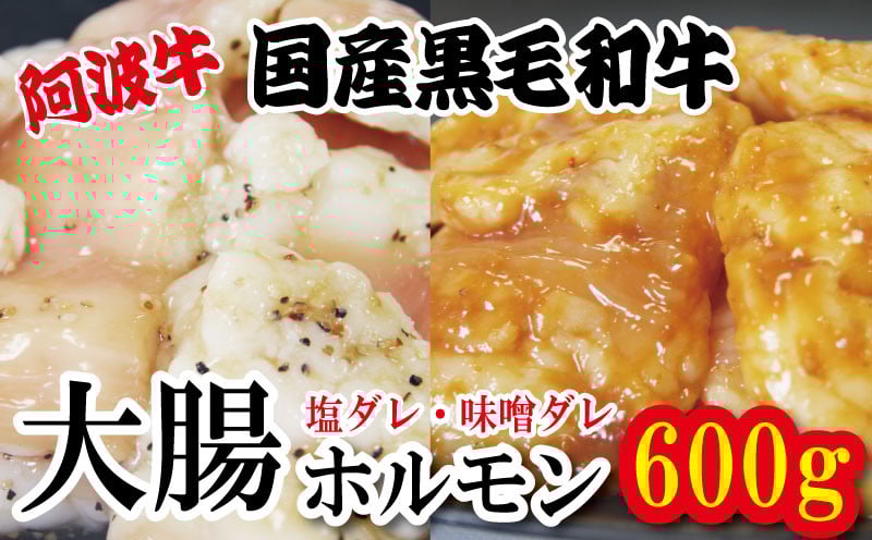 
            ホルモン 大腸 阿波牛 200g×3パック 小分け 計600g  国産 牛 黒毛和牛 鍋 焼肉 脂 焼き シマチョウ もつ 肉 牛肉 BBQ 【北海道・東北・沖縄・離島への配送不可】
          