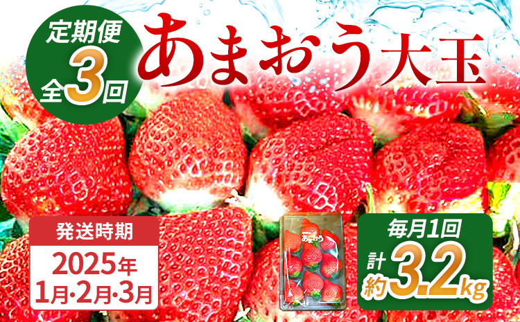 
            	【3回定期便】 期間限定 いちご 苺 3.2kg あまおう（大玉）、4パック×3回（1月、2月、3月）定期便 【2025年1月～3月中に順次出荷予定】 ※北海道・沖縄・離島は配送不可 大木町産 おおきベリー CT002
          