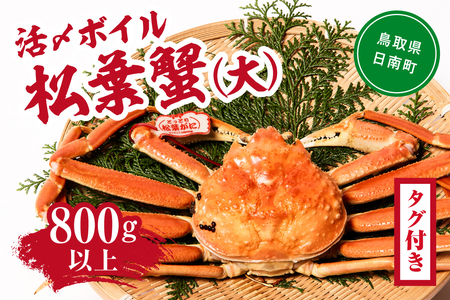 【北海道・沖縄・離島配送不可】【タグ付き】活〆ボイル松葉蟹(大) 800g以上 松葉ガニ 松葉がに カニ かに 境港 マルツ 鳥取県日南町