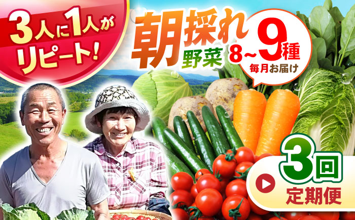 【3回定期便】諫早産野菜の詰め合わせ(8〜9品目程度) / 季節 旬 野菜 春野菜 夏野菜 秋野菜  / 諫早市 / 肥前グローカル株式会社 [AHDI001]