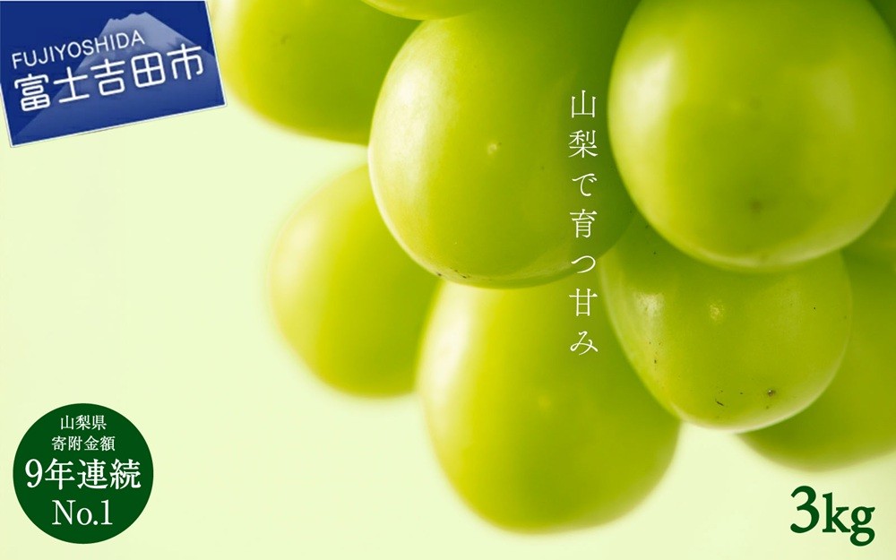 
                  【2026年発送】山梨県産シャインマスカット3kg　果物 旬 数量限定 期間限定 フルーツ 2026年発送 ぶどう 山梨 富士吉田
                