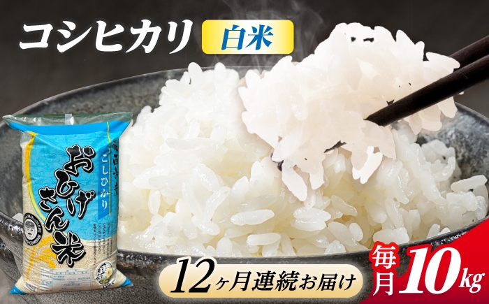 
                  【12回定期便】コシヒカリ 白米 10kg×12ヵ月 愛西市 / 脇野コンバイン [AECP029]
                