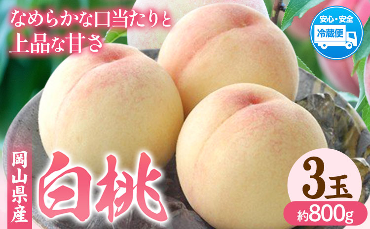 【令和7年度先行予約】岡山県産 白桃 内容量 3玉（約800g） クール便 晴れの国 おかやま館(フルーツランド岡山) 《2026年7月中旬-7月下旬頃出荷》岡山県 浅口市 白桃 桃【配送不可地域あり】（離島）
