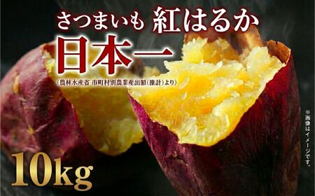 さつまいも 紅はるか 訳ありB品 10kg サツマイモ 甘藷 産出額 日本一 茨城県 鉾田市