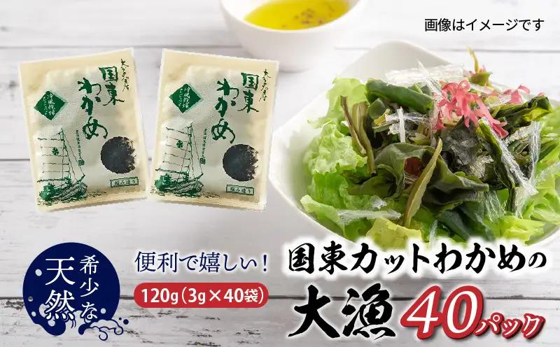 ＼テレビで紹介されました！／ 【選べる容量】便利で嬉しい！国東カットわかめの大漁パック_0005N