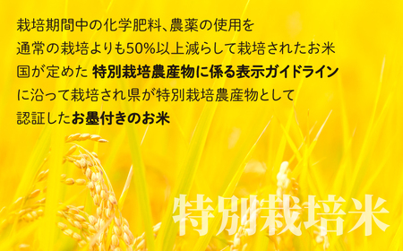 地球にやさしいパックご飯 20食入り【玄米】　減農薬・減化学肥料 「特別栽培米」－地球にやさしいお米－