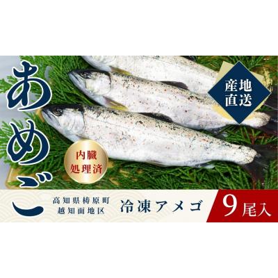 ふるさと納税 梼原町 四万十川源流域の清流で育ったゆすはらアメゴ(9匹入り)