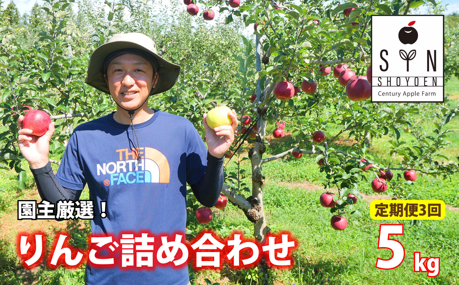
            【先行予約 定期便 】園主 厳選 りんご 詰め合わせ 5kg 定期便 3回 松陽園 / 岩手県 遠野市 産 2025年10-12月発送
          