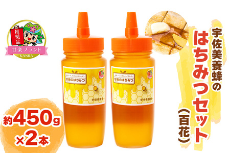 宇佐美養蜂のはちみつセット (百花) 450g×2本「KANRAブランド認定商品」 [0419]