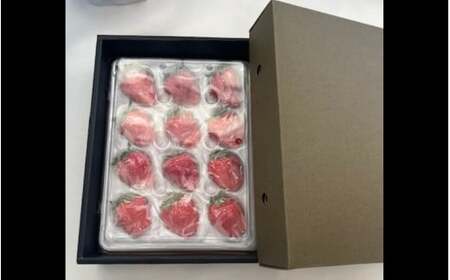 完熟朝どれいちご（よつぼし）【kmng0031】