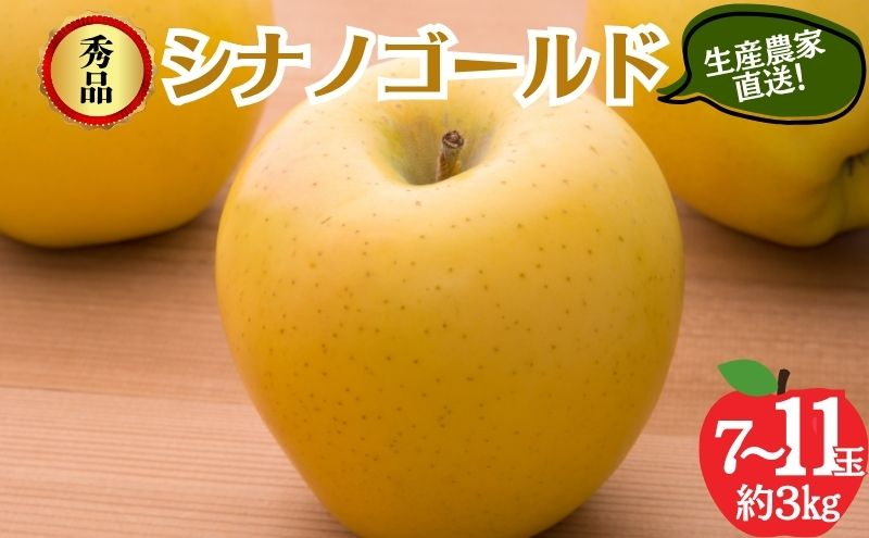 
            シナノゴールド 秀品 約3kg 7～11玉 りんご 果物 信州 長野
          