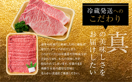 飛騨牛づくし定期便 6回 4人前 定期便 