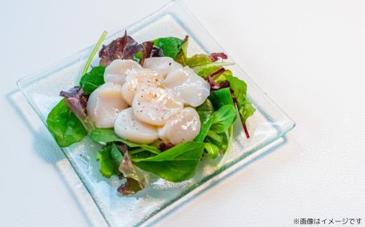 北海道オホーツク産 冷凍帆立貝柱 31玉～40玉 500g×2【 ふるさと納税 人気 おすすめ ランキング ホタテ ほたて 帆立 貝柱 ホタテ貝柱 ほたて貝柱 帆立貝柱 刺身 ホタテ刺身 刺身ホタテ 
