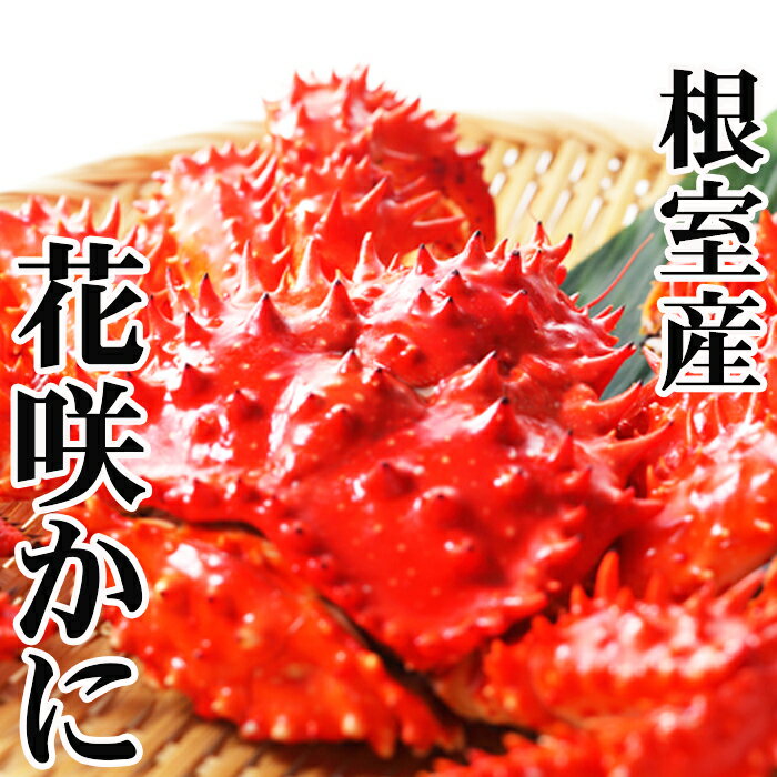 【ふるさと納税】 [北海道根室産] 花咲かに300〜450g前後×8尾 花咲がに 花咲 花咲ガニ 花咲蟹 かに カニ 蟹 お取り寄せ グルメ 海鮮 北海道 根室市 ふるさと納税 C-36005