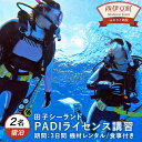 【ふるさと納税】ダイビング 西伊豆 ペアで体験！西伊豆 PADIライセンス講習（宿泊・朝夕食付き）田子シーランド 2名 静岡 西海岸 マリンアクティビティ
