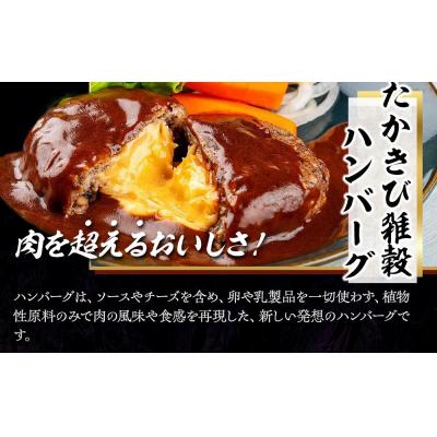 ふるさと納税 徳島市 【NIKUGOE】 たかきび雑穀ハンバーグ詰め合わせ「藍」(計4個)【AG025】 |  | 01
