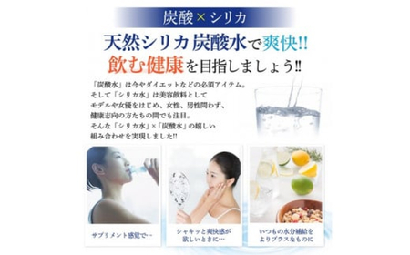 biora天然シリカ炭酸水 500ml×24本×12回 炭酸水 シリカ ミネラル 美容 飲料水 軟水 天然水 大分県 玖珠町 健康 九州 採水 防災 備蓄 定期便 500ml 72mg/l 硬度43.