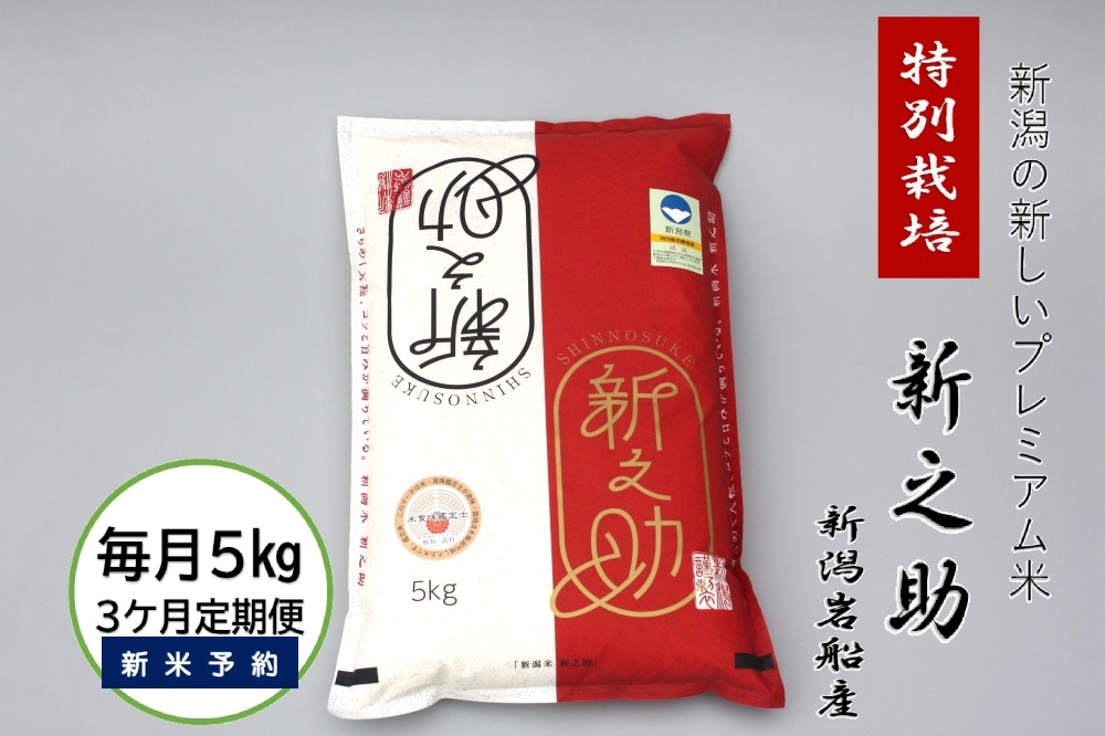 
            【新米受付・令和7年産米】【3ヶ月定期便】食味鑑定士板垣謹製 新潟県村上市岩船産 特別栽培 新之助 5kg×3ヶ月 1039031N ｜ 連続 毎月 お届け 新耕農産 一等米 プレミアム米 農家直送 低温倉庫保管
          