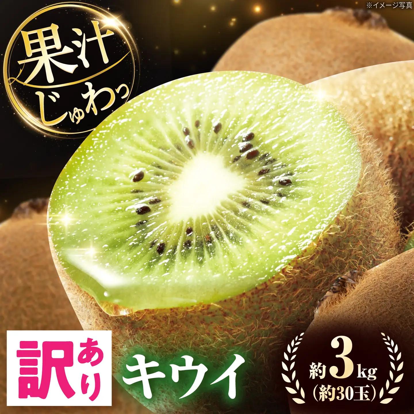 キウイ 訳あり キウイフルーツ ヘイワード サイズ不揃い 約3kg 30個前後 / フルーツ 果物 キウイフルーツ キウイ キューイ キゥイ キュウイ 甘い 先行予約 3kg 愛媛 / 愛媛県砥部町/株式会社電子食品流通研究所[BJBL005]