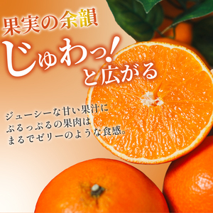 【紅まどんなと同品種】あいか 2kg まどんな【SSK019】