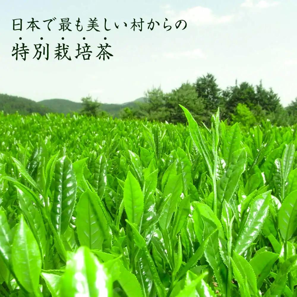 八女茶 深蒸し高級 2袋[BGAF013] お茶 八女茶