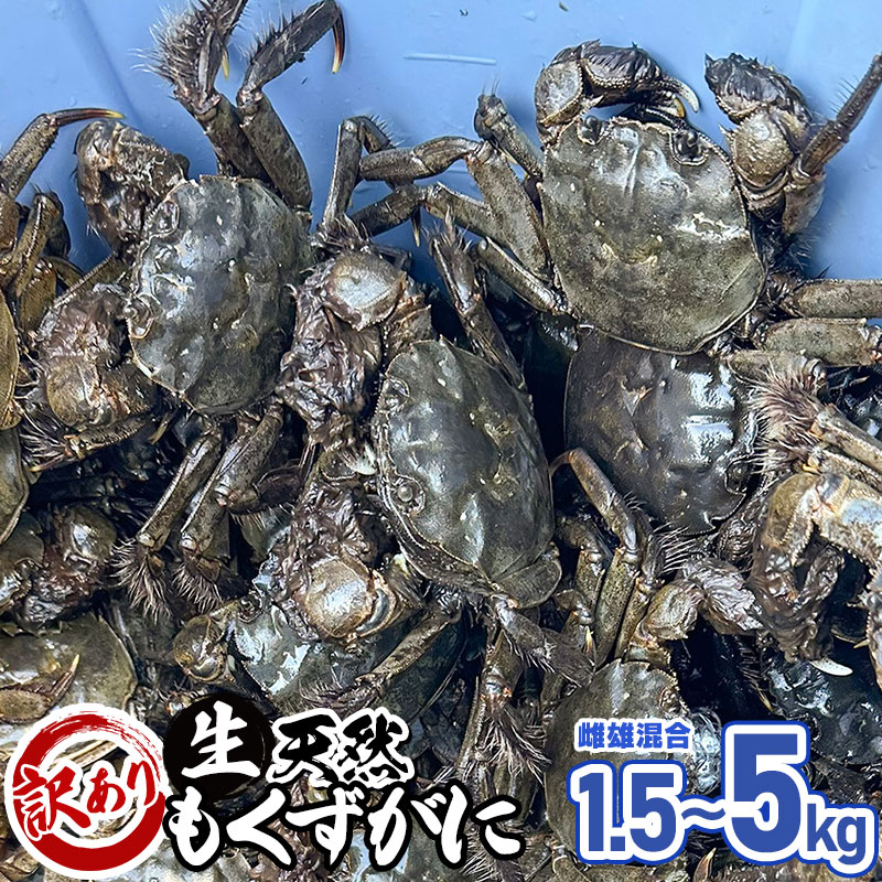 【ふるさと納税】【令和8年産先行予約】【訳あり】天然もくずがに （雌雄混合）【お選びください：1.5・3・5kg】 発送時期：9月1日〜12月30日頃 | 山形県 鶴岡市 返礼品 モクズガニ 川ガニ 蟹 淡水 汽水カニ お取り寄せ 特産品 名産品 支援品 食品　2026年