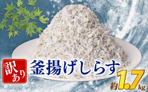 訳あり 釜揚げしらす 約1.7kg 冷凍 惣菜 弁当 晩ごはん 白州 白子 魚介類 海鮮 小魚 鮮魚 グルメ 人気 海の幸 ふりかけ ちりめん しらすご飯 国産 じゃこ しらす丼 塩分控えめ 減塩 離乳食 おにぎり パスタ おつまみ 簡単 料理 アレンジ カルシウム 健康 低カロリー ビタミン タンパク質 栄養 おかず 朝食 お土産 ギフト プレゼント 安芸市 高知県