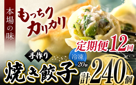 12回 定期便 地元野菜 ・ 国産素材 を使用 ニンニク不使用 手作り焼き餃子 ( 冷凍 ) 20個 【 手作り餃子の店 吉春 】 | 料理 食品 ぎょうざ ギョーザ 餃子 水餃子 冷凍餃子 人気 にんにく不使用 にんにくなし ニンニク不使用 食べ切り お惣菜 定番 もちもち カリカリ お取り寄せ 豚肉 豚 小麦 北海道小麦 キャベツ にら しょうが 国産 グルメ 本場 麺点師 国領 調布 東京