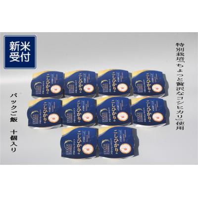 ふるさと納税 村上市 【新米受付・令和7年産米】新潟県村上市産 コシヒカリ パックご飯 150g×10個　1039037N