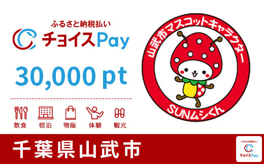 
山武市チョイスPay 30,000pt（1pt＝1円）【会員限定のお礼の品】
