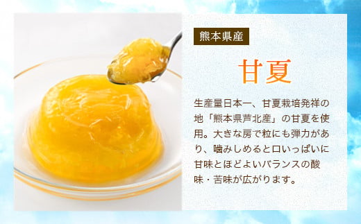 甘夏ゼリー24個セット ゼリー フルーツゼリー 甘夏 みかん セット ギフト 詰め合せ 福岡県 八女市