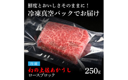 天下味 エイジング工法 熟成肉 土佐あかうし 特選ロースブロック 250g エイジングビーフ 国産 あか牛 赤牛 牛肉 和牛 冷凍配送 真空パック お祝い 高知 芸西村 贈り物 贈答 ギフト
