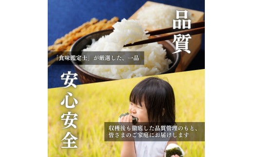 令和8年産 食味鑑定士厳選  新潟県上越柿崎区厳選 こしひかり 無洗米 15kg 6か月定期便 上越市 米 コメ コシヒカリ ファインリョーコク