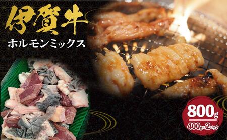 牛肉 伊賀牛 ホルモンミックス約800g（約400g×2パック）【 牛肉 牛肉 牛肉 牛肉 牛肉 】