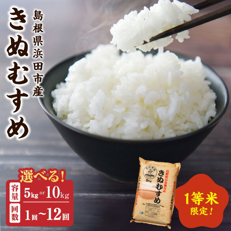 【ふるさと納税】【令和7年産】浜田市産きぬむすめ【5kg 10kg/1回 6回 12回】 選べる 定期便 お米 お取り寄せ 特産 精米 白米 ごはん ご飯 コメ 新生活 応援 準備 ふるさと納税 お米