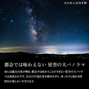 SI0031　湯の台温泉 鳥海山荘 1泊2食付き / 1名様宿泊券　1枚 【四季旬彩コース】