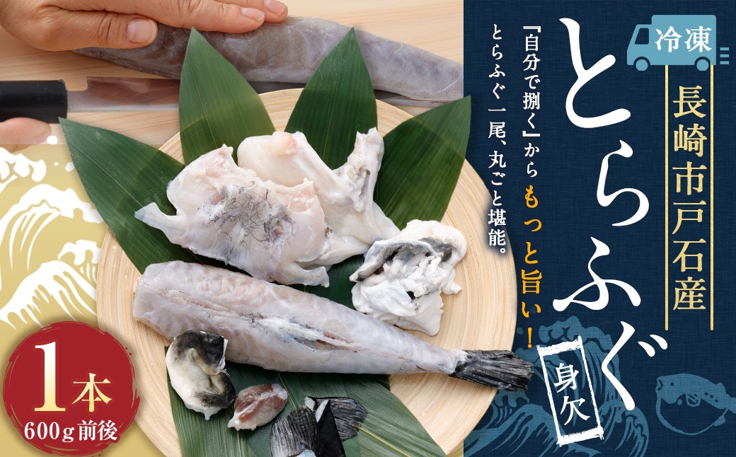 
                  戸石産 とらふぐ 身欠1本もの （600g前後） 【2026年11月上旬～2027年3月下旬発送予定】 魚 魚類 フグ ふぐ 河豚 とらふぐ 身欠 国産 長崎県産
                