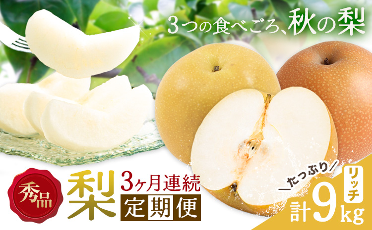 【3ヶ月定期便】梨 定期便 秀品 3ヶ月連続 梨の定期便 リッチ 計9kg 日本フルーツ株式会社《8月上旬-10月末頃出荷》熊本県 長洲町 なし ナシ 豊水梨 秋月梨 新高梨 果物 フルーツ---sn_cnfzntei_41500_rich_aug3---