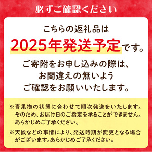 ≪先行予約≫【訳あり】サンふじ10kg 28～40玉【2024年12月中旬発送予定】 054-003