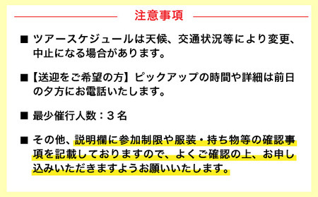 幻の島上陸＆トロピカルシュノーケリング 半日で石垣島の絶景を満喫★初心者歓迎！＜半日／市街地送迎／石垣島発＞【 旅行 体験チケット観光 大自然 体験ツアー 観光 沖縄 アクティビティ シュノーケリング