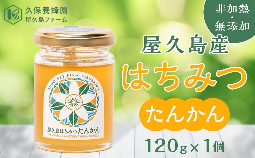 
                  【非加熱・無添加】屋久島産 はちみつ（たんかん）120g×1個＜久保養蜂園 屋久島ファーム＞
                