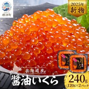 【令和7年新物】鮭 醤油 いくら 120g×2パック 北海道産 醤油漬け サケ 小分け【配送不可地域：離島】【AH013】
