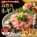 【ふるさと納税】【緊急支援品】 訳あり 高豊丸 ネギトロ 合計3kg (200g×15パック) ふるさと納税限定 高品質 まぐろたたき まぐろのたたき 訳あり おかず 海鮮 魚介 魚 惣菜 小分け 海鮮丼 手巻き寿司 冷凍 故郷納税 30000円 送料無料 tk015