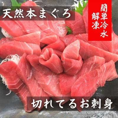 ふるさと納税 三浦市 【切れてるお刺身】天然本まぐろ中トロ【簡単冷水解凍】