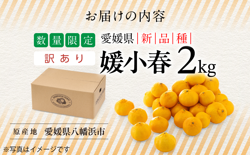 【先行受付】2027年発送!五代目が厳選した【訳あり】媛小春 2kg【A70-161】【1710481】 YWTK160