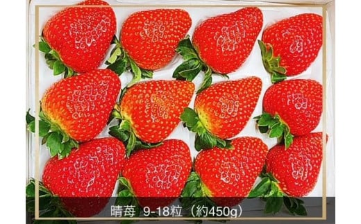 岡山市産 晴苺 9～18粒 約450g 化粧箱入り＜2025年12月中旬以降発送＞