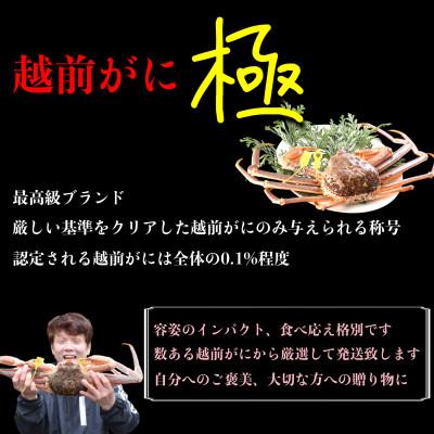 ふるさと納税 越前町 【2027年2月より順次発送】《浜茹で》越前がに　極(1.5kg以上×1杯) |  | 01