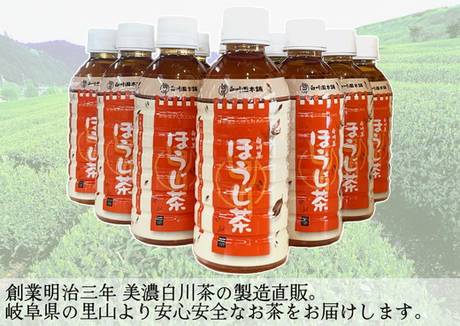 ※白川茶 ほうじ茶ペットボトル330ml