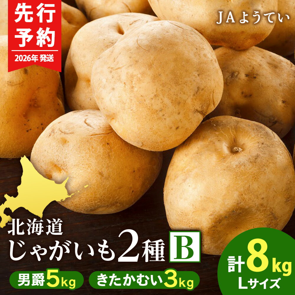 【ふるさと納税】【2026年発送 先行予約】じゃがいも2種 馬鈴薯（男爵5kg＆きたかむい3kg）Lサイズ 合計8kg＜JAようてい＞じゃがいも 芋 秋じゃが 野菜 ポテト 北海道 国産北海道ふるさと納税 ふるさと納税 北海道 黒松内町 通販 ギフト 贈答品 贈り物