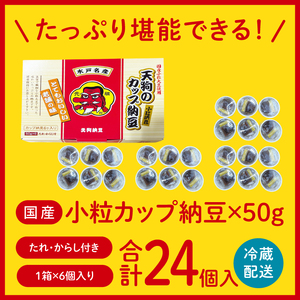 【天狗納豆】国産小粒カップ納豆（50ｇ×6個）×4箱（DQ-17）